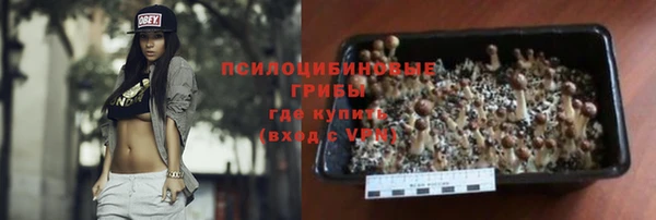 СК Волоколамск