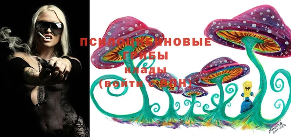 спайс Верея